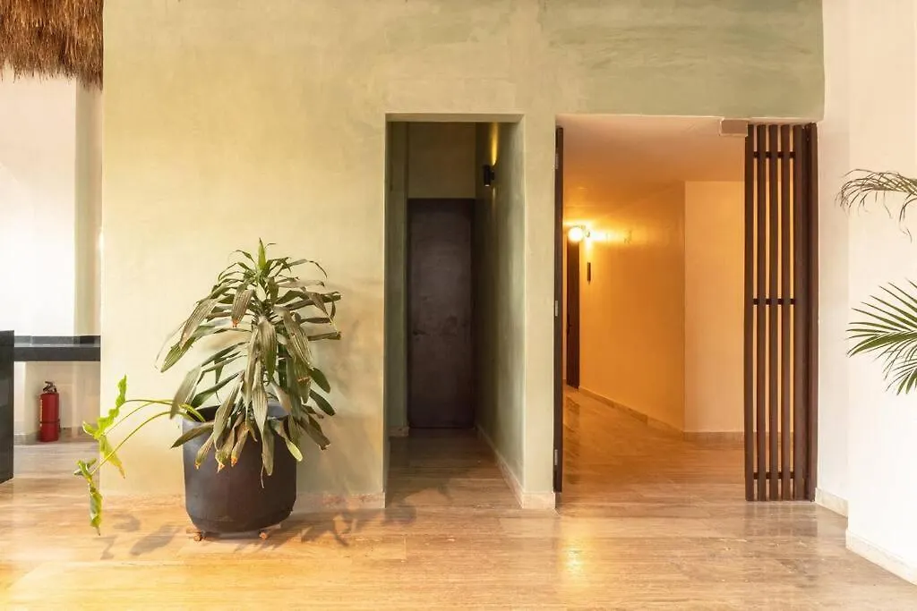 Stylish Tulum Retreat For 6, Near Everything 0*,